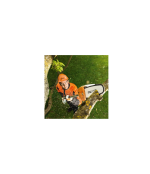Podadora de Altura Stihl HTA 66 K 1/4" PM3 30 cm - Imagen 2