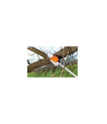 Podadora de Altura Stihl HT 56 C-E 25 cm - Imagen 3