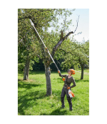 Podadora de Altura Stihl HTA 160 3/8 PMM3 30 - Imagen 3